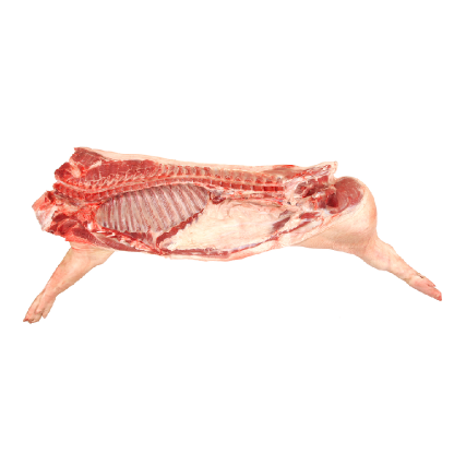 Pork half-carcass - Click on different parts to explore products